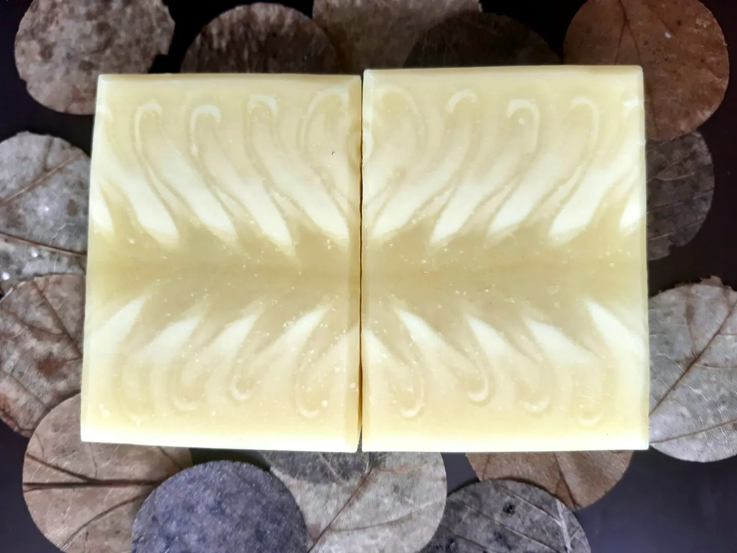 277804903 464715722107943 9201646978090972610 n