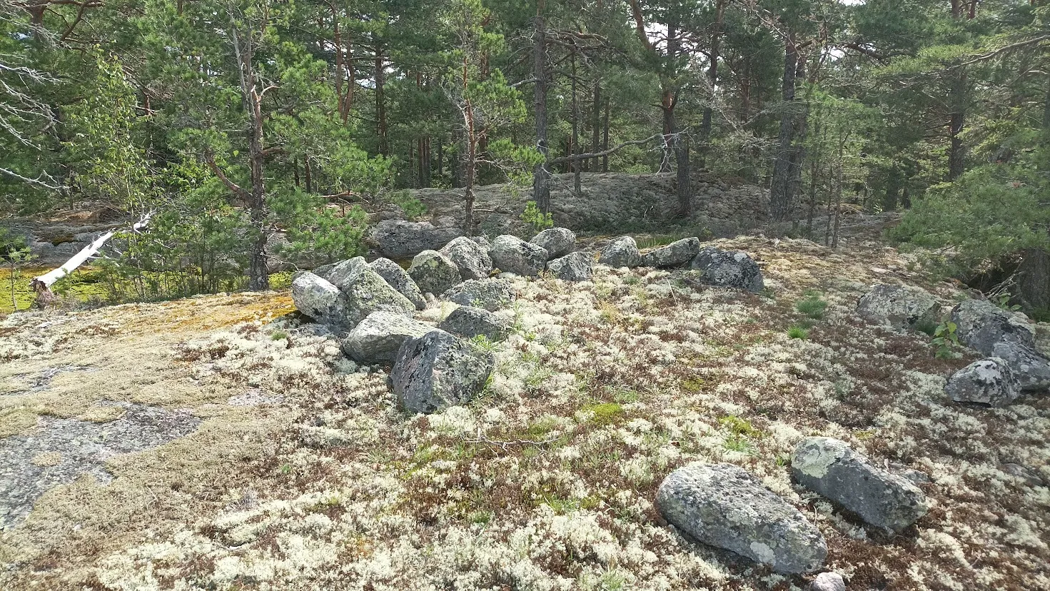 nagu tomtning